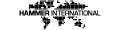 http://Logo%20Hammer%20International